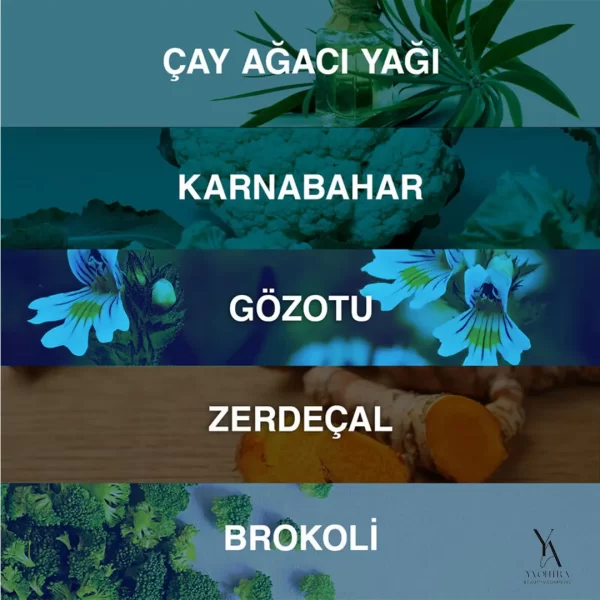 ژل شستشوی صورت بیوکسین BIOXCIN مدل Acnium برای پوست چرب و مستعد آکنه حجم 200 میل - Image 7